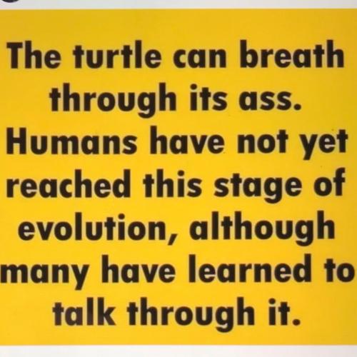 E0994DF4-534E-4CFB-A7EE-39C32D4D6B87