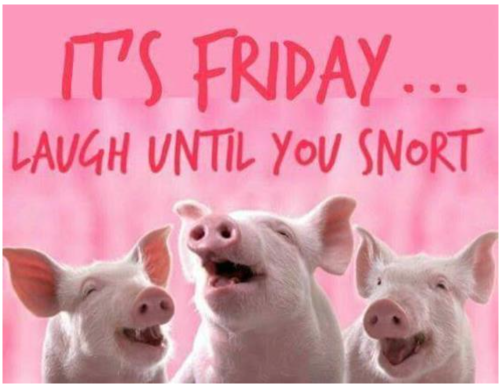 Screenshot_20220225-111637