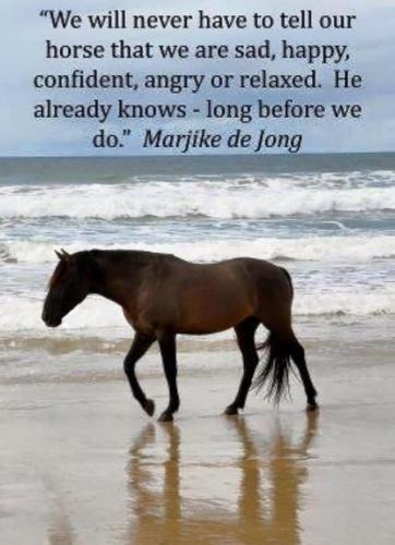 10A1FD46-4EAA-486D-8BF8-CDA900BE2764