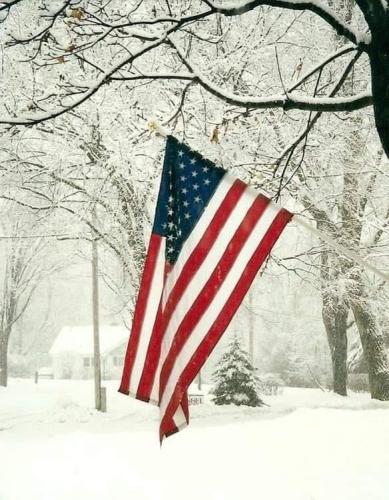 Flag - In snow