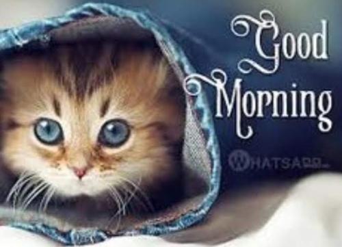 Screenshot_20220312-152227_Photos