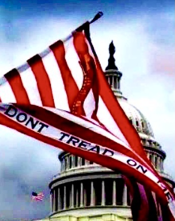 7D61CF9B-54C6-49FA-87A1-33B3FF31782B