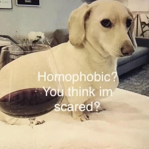 CC96A772-091E-4586-BEB6-EB69E13CF203