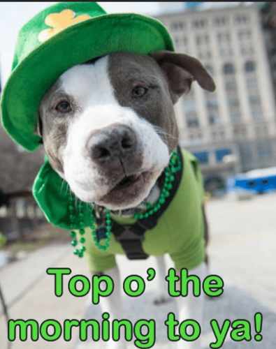 Screenshot_20220317-085123