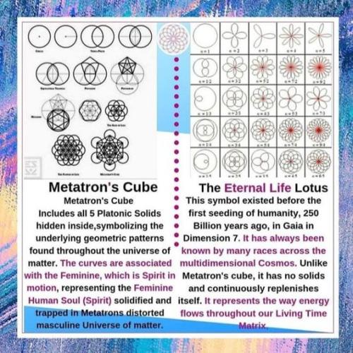 CC58C6B1-A2A4-4409-AAE4-1C35159F288A