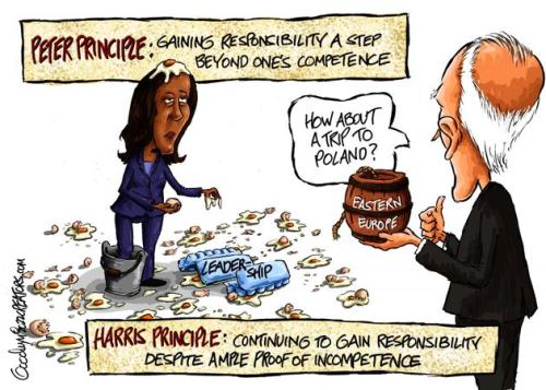 alg030622dAPC20220306054506