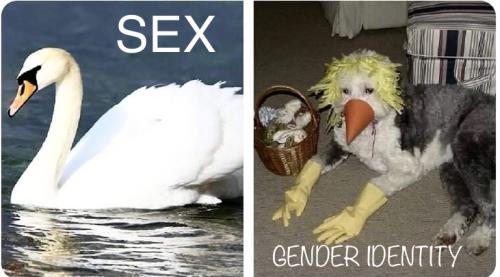 984431D8-A322-43BA-8C3A-B1202DC3F449