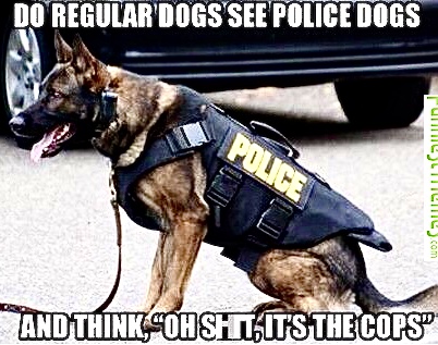 17DC0F94-8648-4542-9461-932F09BA25A9