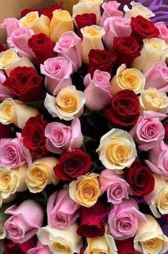 FB_IMG_1620095334363