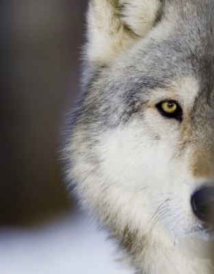 DAEF28B7-CAFB-4477-86B5-848A5C58C068