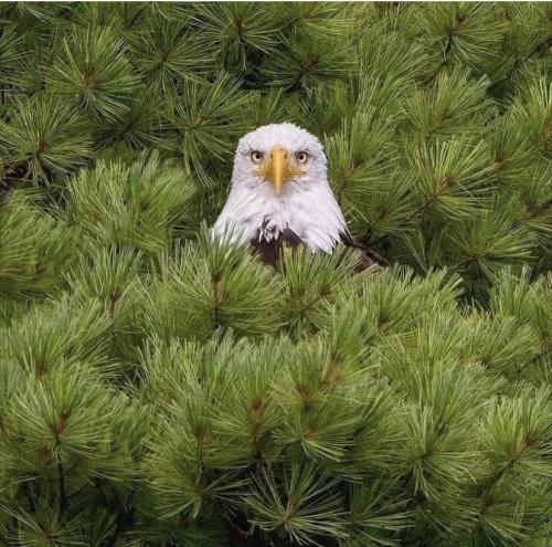 2910FFA3-6388-4E8D-82C7-CB25DFC07FBB