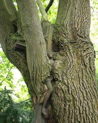 FB_IMG_1647733722684