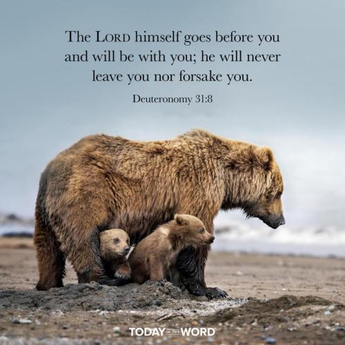 7A2EC40D-CC1F-436A-A10A-386510CA6F81