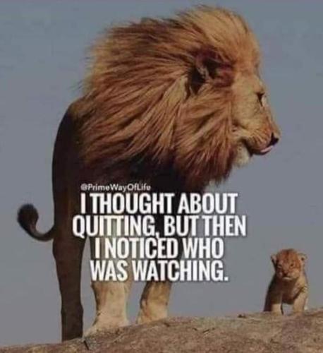 don't quit