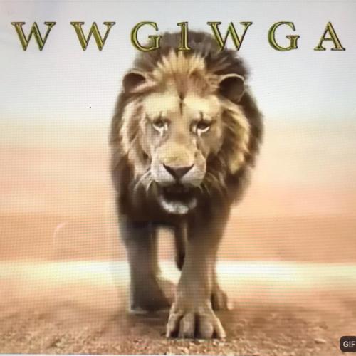 5A2A932F-7278-4FE5-BE7D-AB05FC9847C5