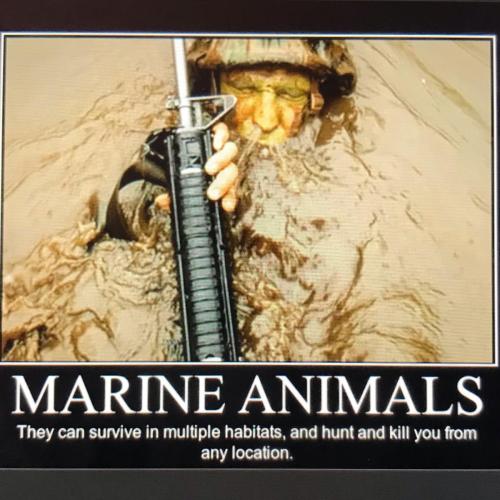 C71F03FA-0983-4799-B1D4-A0178153AF46