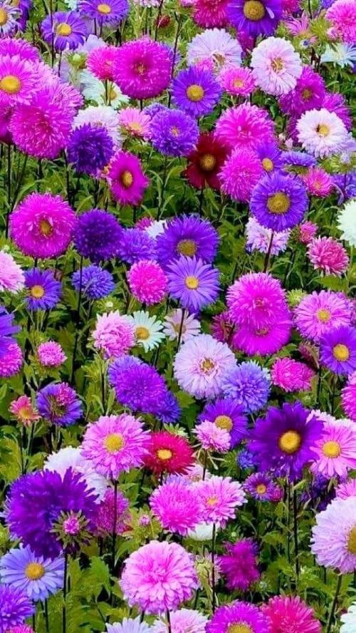 400EF755-F7B6-4313-91F3-0A003B6044A4