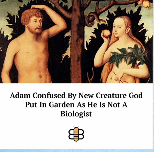 Screenshot_20220328-223232~2