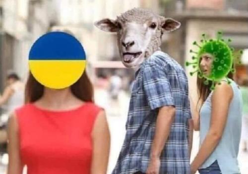 961F0876-E8C4-42E6-AE54-49479651C9E9