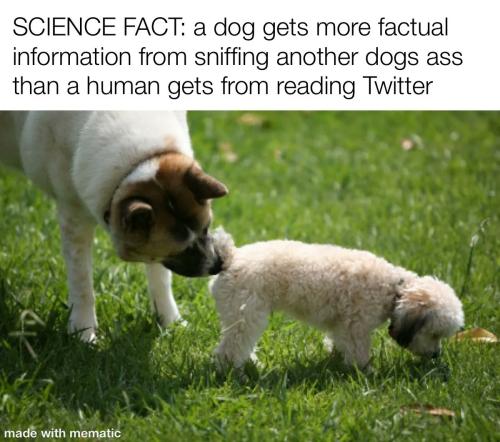 IMG_20220322_145314_299