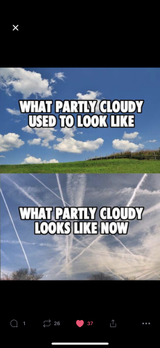 E069B83D-28FF-4803-AD5C-FE1449C64C6A