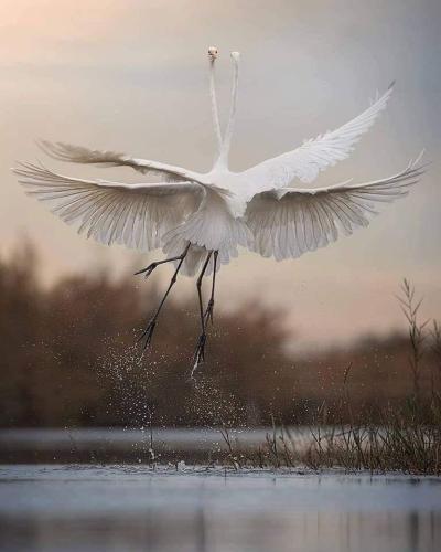 512AAB8E-5746-4FDC-8A9A-C7D366D5A4C4