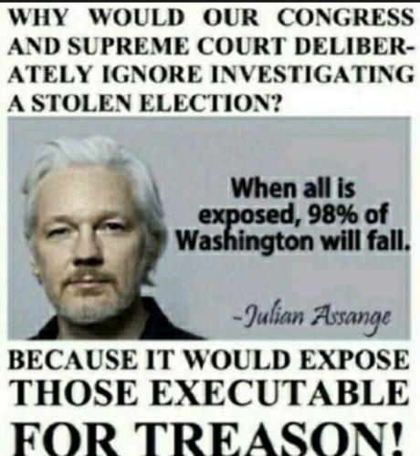 Assange 201