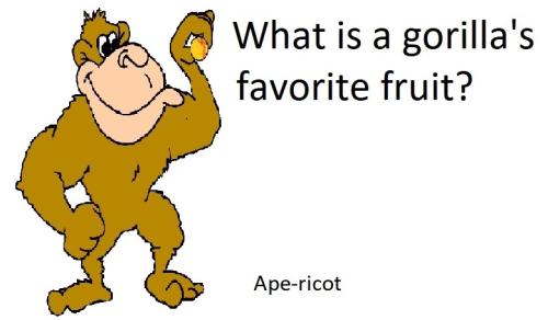 20220324 ape-ricot