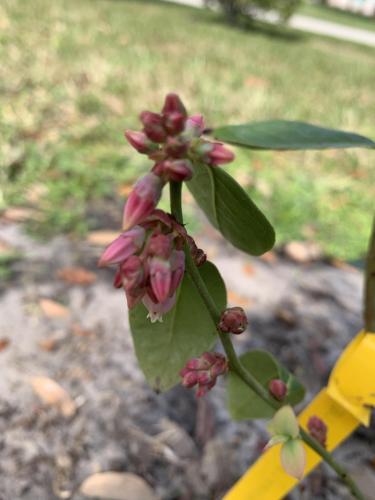 1479A831-B382-4332-A76D-2E3C6770B7AE