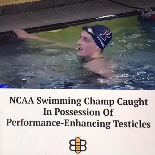 A3A31A0E-C6B1-4082-9A63-A96C3A94D536