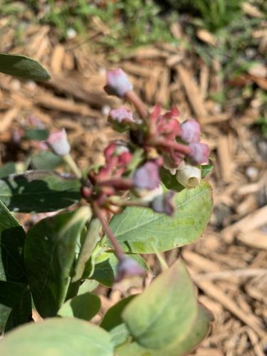 192E1AD8-FD2A-4670-B6DA-5A27AEE6CFF1