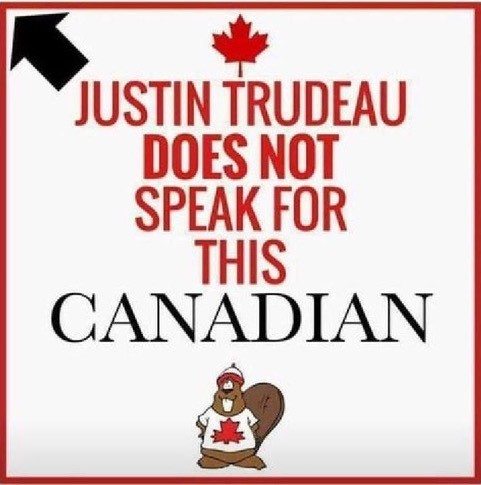 A-08 -