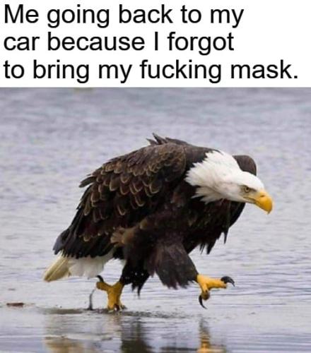 Me going back to my car because I forgot my fucking mask