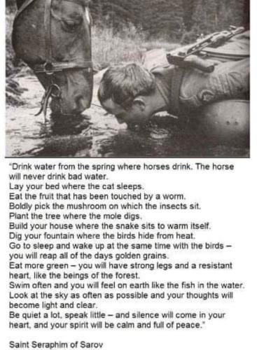 2ca1eacb-82ae-4e55-ab76-9e56eede8ed8