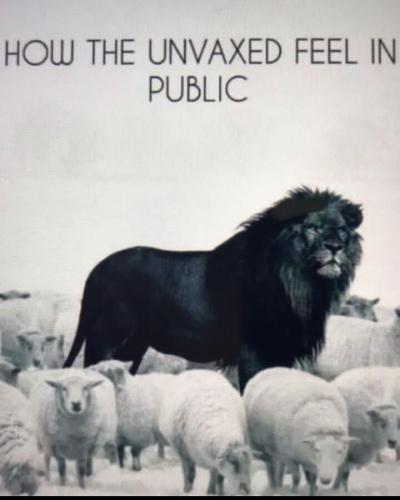 427AAD29-5A9A-4125-AE04-70F9B20452EA