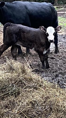 7353FFFA-4671-4885-A08C-EBD20290694F