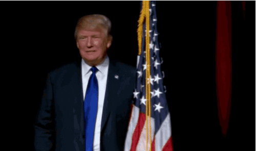 trump flag hug