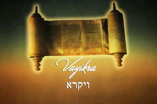 vayikra-reading