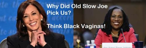 Kamala and Ketanji Brown Jackson Black Vaginas