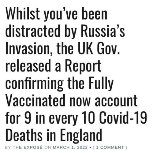 xephula_c0f240876acd9501a80afd6ca93ad1a2