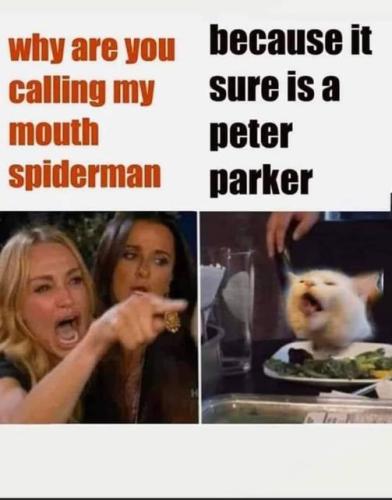 52767_wy9dbborqytwjdx_full