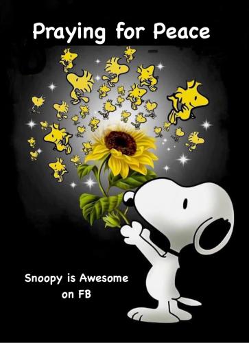 275841093_529110001917251_6549697317097388869_n