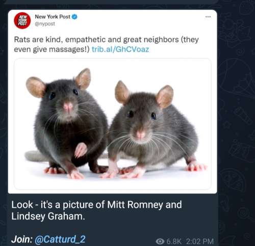 Screenshot_20220319-181443