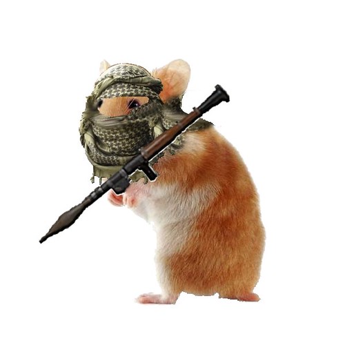 2322017900_3648e1e6fa