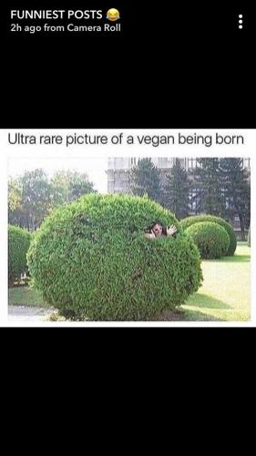 d4574bf1-0196-404e-ba42-4c29be7b50e2