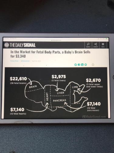 1129184B-1909-47CC-8C6D-D4E131F7ADBE