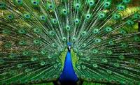 6335466B-6144-4648-9115-765BA07E8BB9