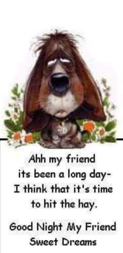 Screenshot_20220308-101307_Photos