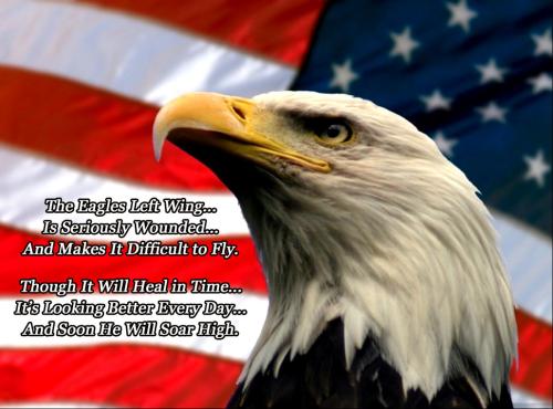 Wounded Eagle