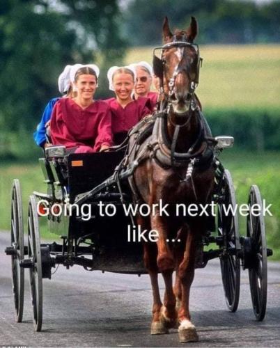 Gas-Shortage-Meme-horses